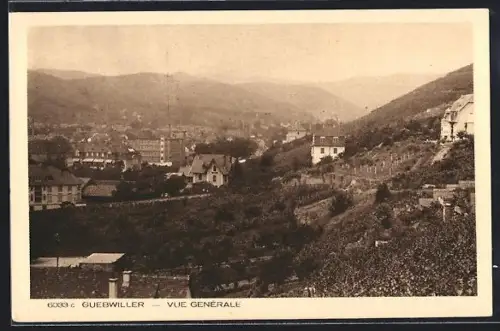 AK Guebwiller, Vue générale