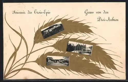 AK Trois-Épis, Souvenir des Trois-Épis avec épis de blé et vues du village