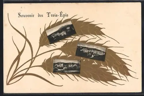 AK Trois-Épis, Souvenir des Trois-Épis avec images sur fond de blé