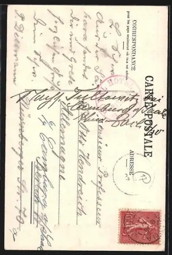 AK Biskra, Palmiers Dattiers