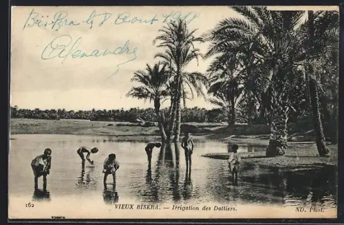 AK Biskra, Irrigation des Dattiers