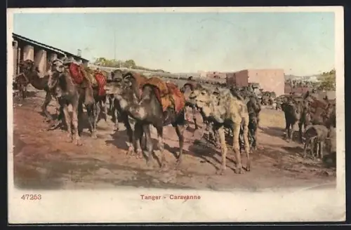 AK Tanger, Caravanne