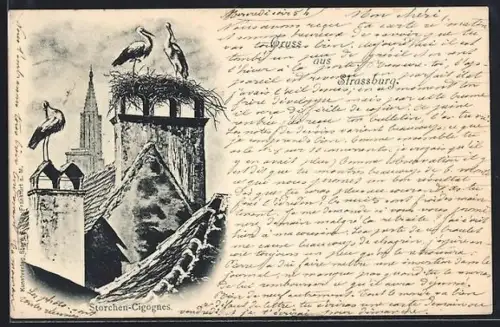 AK Strassburg, Storchennest und Münster