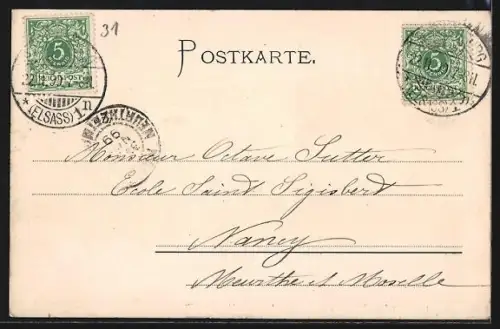 AK Strassburg, Storchennest und Münster