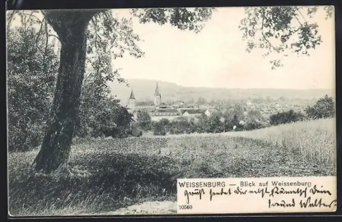 AK Weissenburg, Ortsansicht von einem Feld aus