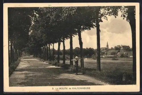 AK Kaltenhausen, Strasse nach dem Ort mit Bäumen