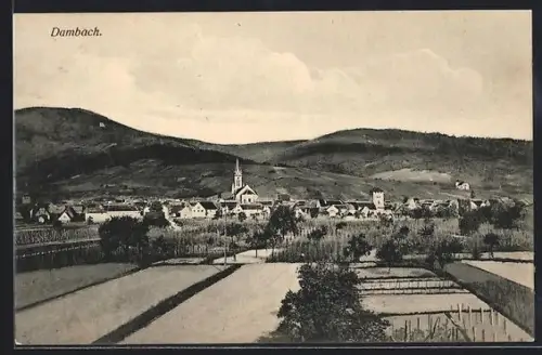 AK Dambach, Gesamtansicht mit Umgebung