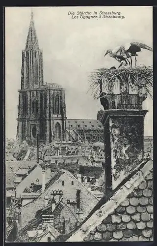 AK Strasbourg, Les Cigognes à Strasbourg