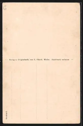 AK Charbes b. Weiler, Gasthof Ed. Bansept, Ortsansicht aus der Vogelschau