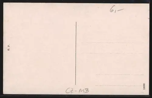 AK Mladá Boleslav, Über die Dächer des Ortes mit Kirchturm