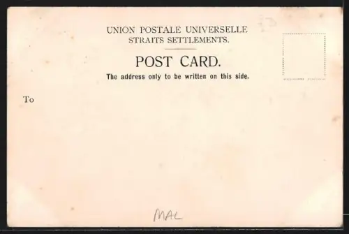 AK Penang, Dorfpartie mit Bewohnern