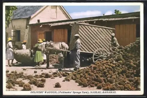 AK Nassau, Delivery Waggon, Psilinakis` Sponge Yard