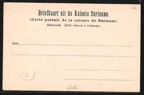 AK Paramaribo, Havengezicht