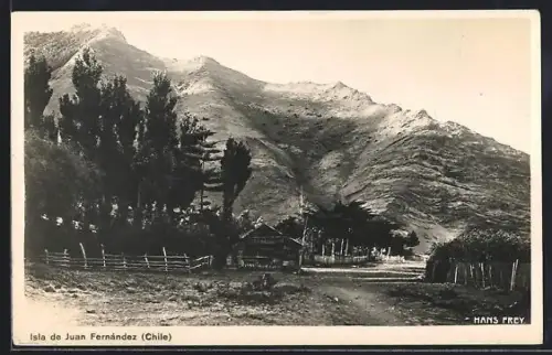 Foto-AK Isla de Juan Fernandez /Chile, Vista parcial