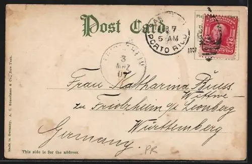 AK Puerto Rico, Typical Village