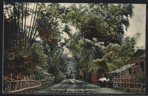 AK Philippines, Feathery Bamboo