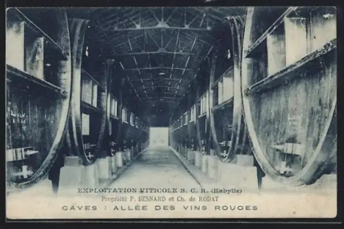 AK Bougie, Exploitation Viticole B.C.R., Kabylie, Propr. P. Besnard, Allée des vins rouges