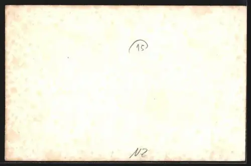 AK Auckland, Tea Kiosk, Domain Gardens