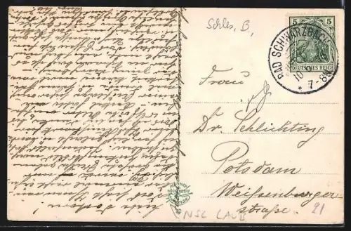 AK Bad Schwarzbach i. Isergebirge, Ortspartie mit Tafelfichte