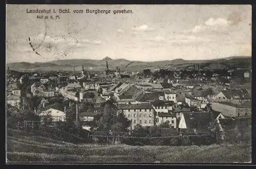 AK Landeshut i. Schl., Teilansicht vom Burgberge gesehen
