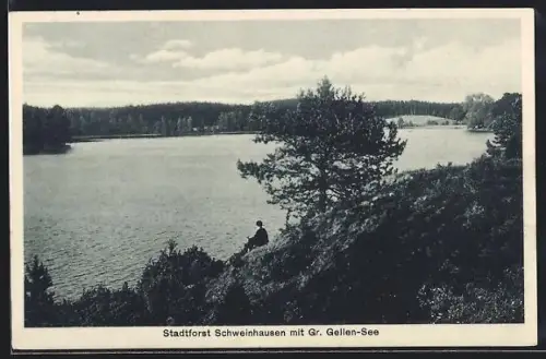 AK Schweinhausen, Stadtforst mit Gr. Gellen-See