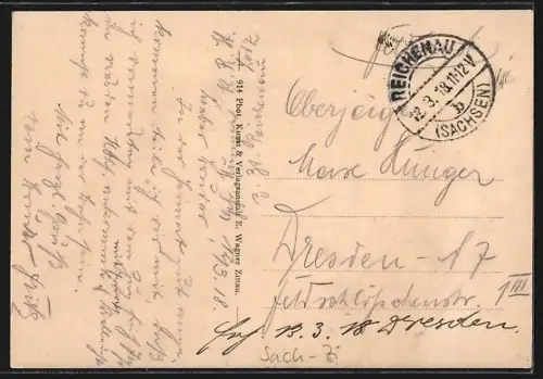 AK Reichenau, Panorama mit Strassenpartie