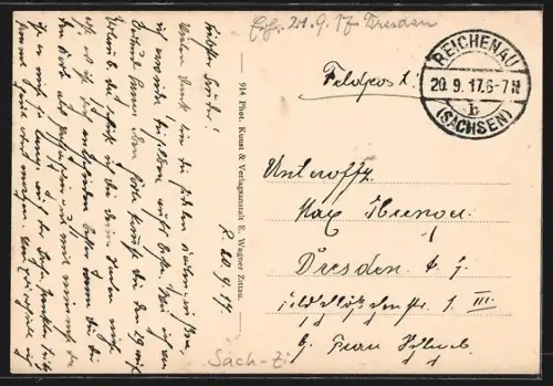 AK Reichenau, Panorama mit Strassenpartie