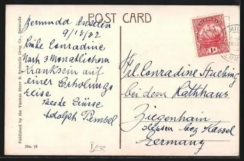 AK Bermuda, A Row of Palmettos