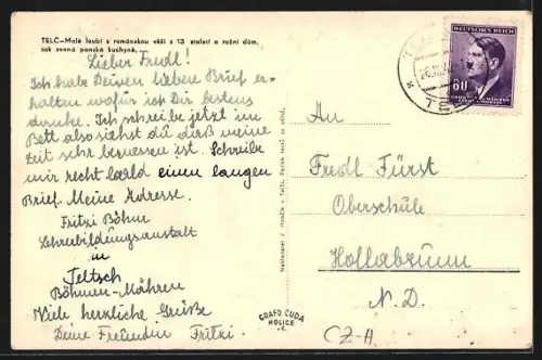 AK Telc, Platzpartie