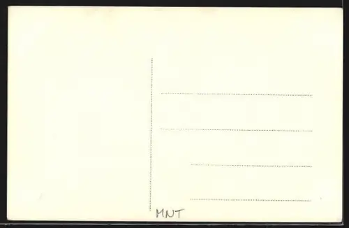 AK Cetinle, Panorama