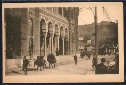 AK Sarajevo, Panorama