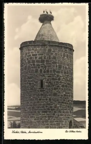 AK Vacha /Rhön, Storchenturm