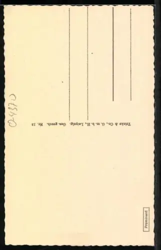 AK Köthen in Anhalt, Schloss mit Brücke