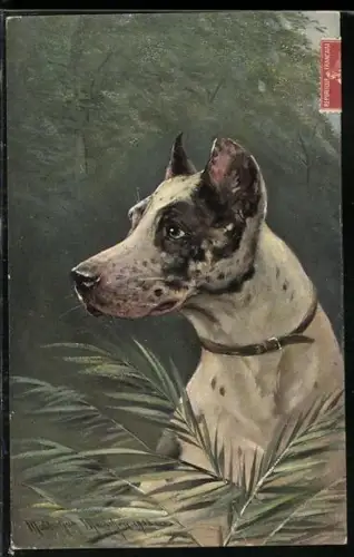 Künstler-AK M. Müller jun.: Weiss-schwarz gefleckte Dogge am Waldrand