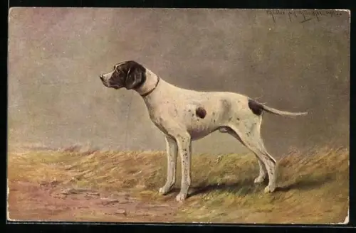 Künstler-AK M. Müller jun.: Jagdhund auf einer Wiese