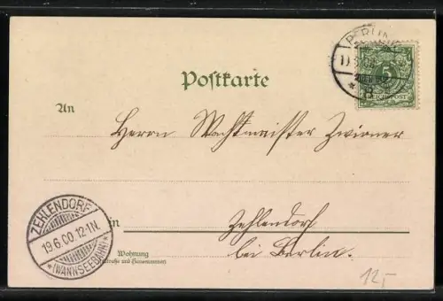 Lithographie Berlin, Königliches Schloss, Strassenansicht, Kaiserportrait mit Engeln