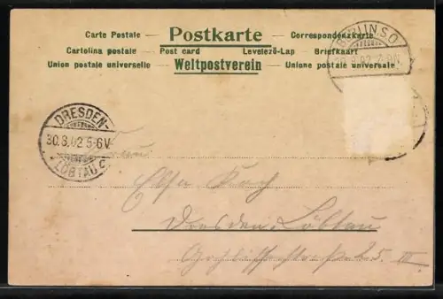 Lithographie Berlin, Königliches Schloss mit Strassenpartie, Blumen, Passepartout