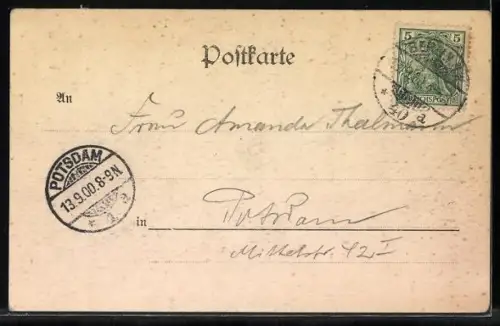 Lithographie Berlin, Königliches Schloss, Schwäne mit Seerose, Passepartout