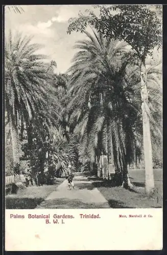 AK Trinidad, Palms Botanical Gardens BWI