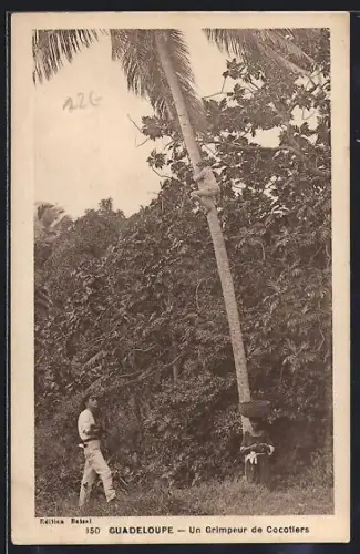 AK Guadeloupe, Un Grimpeur de Cocotiers