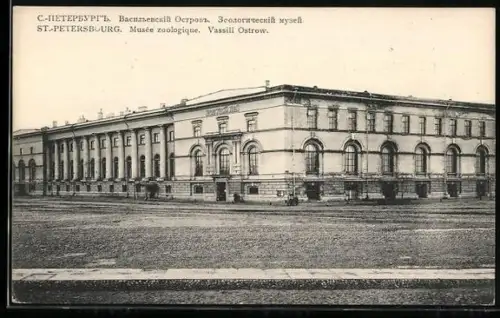 AK St.-Pétersbourg, Musée zoologique, Vassili Ostrow