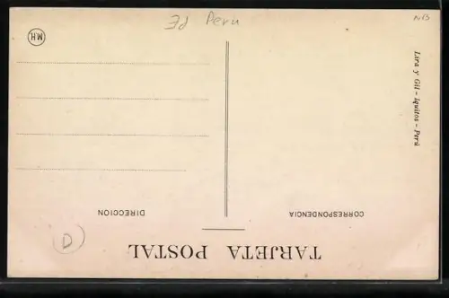 AK Iquitos, Rio Pachitea, Sisa