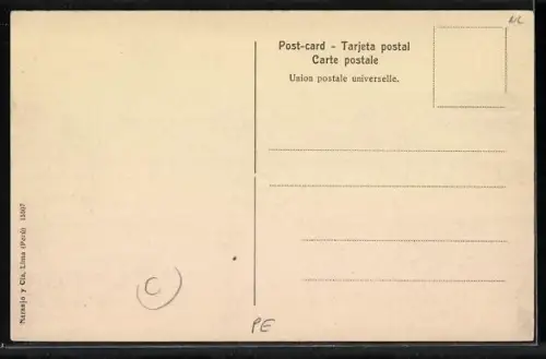 AK Pisco, Vista general