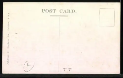 AK Trinidad /B. W. I., Drying Cocoa