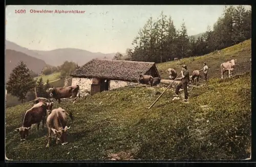 AK Oberwaldner Alphornbläser mit Kühen