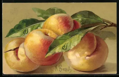 Künstler-AK Aprikosen mit Blättern