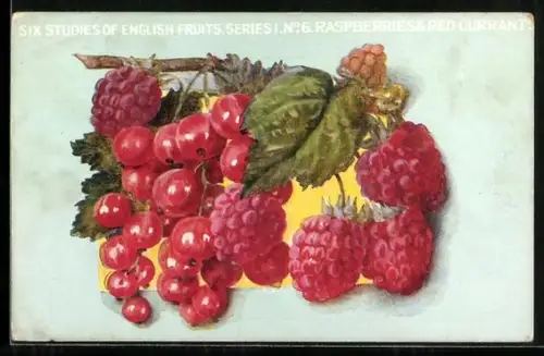 AK Preiselbeeren und Himbeeren