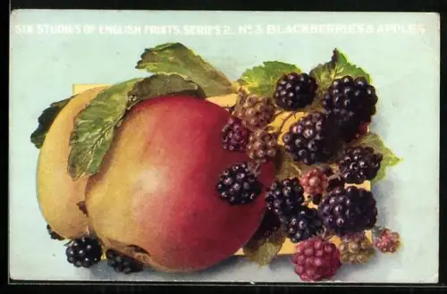 AK Zwei Äpfel und Brombeeren