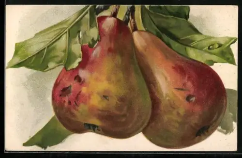 Künstler-AK zwei Birnen