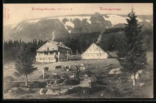 AK Schlingelbaude, Blick auf die Baude im Riesengebirge